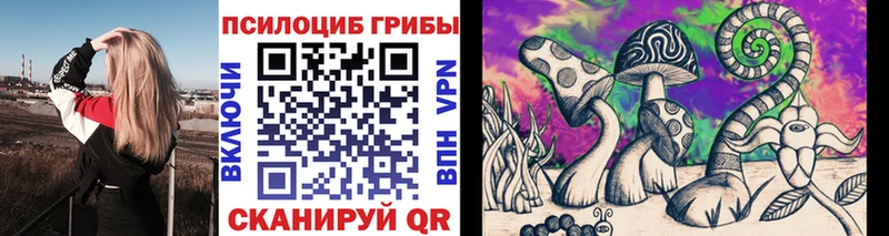 Псилоцибиновые грибы ЛСД  blacksprut ТОР  Калининец 